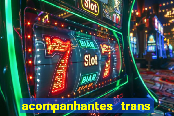 acompanhantes trans baixada fluminense